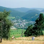 Nelly Am Kurpark * Willingen (Upland)