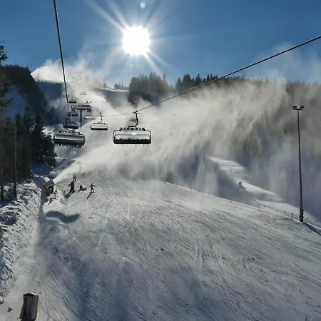 Nelly Am Kurpark Apartmán