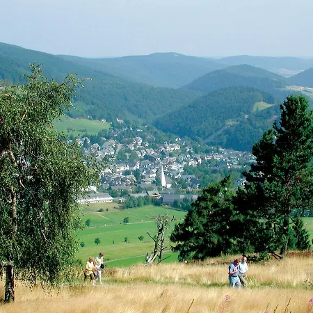 Nelly Am Kurpark * Willingen (Upland)
