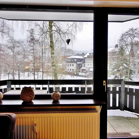 Apartmán Nelly Am Kurpark Willingen (Upland)