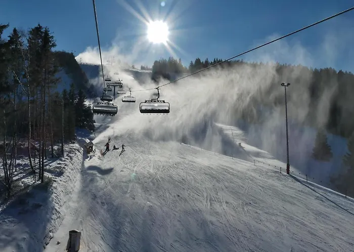 Nelly Am Kurpark Apartamento